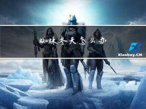 蜘蛛冬天怎么办