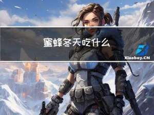 蜜蜂冬天吃什么