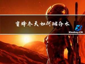 蜜蜂冬天如何储存水