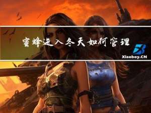 蜜蜂进入冬天如何管理