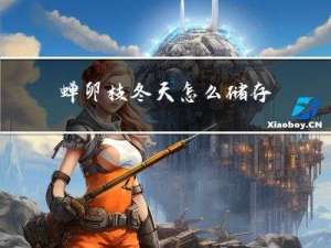 蝉卵枝冬天怎么储存