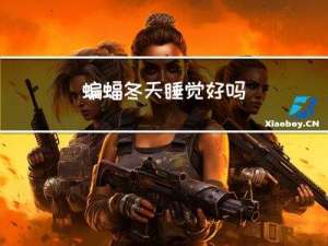 蝙蝠冬天睡觉好吗