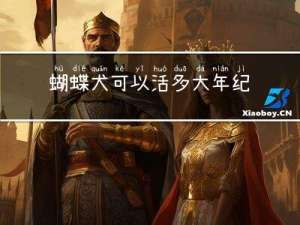 蝴蝶犬可以活多大年纪