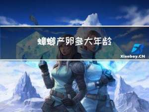 蟑螂产卵多大年龄