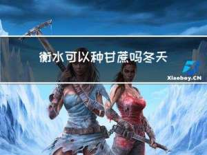 衡水可以种甘蔗吗冬天