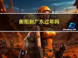 衡阳到广东过年吗