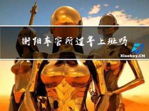 衡阳车管所过年上班吗