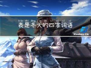 表是冬天的四字词语