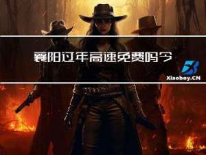 襄阳过年高速免费吗今天