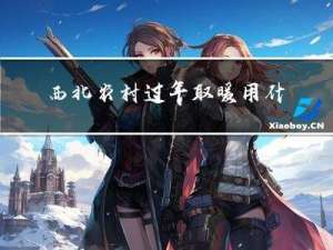 西北农村过年取暖用什么