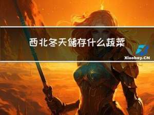 西北冬天储存什么蔬菜最好
