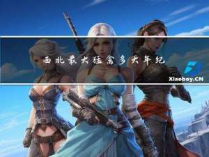 西北最大猛禽多大年纪