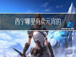 西宁哪里有卖元宵的