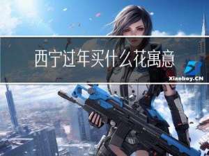 西宁过年买什么花寓意好