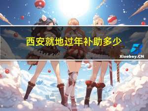 西安就地过年补助多少