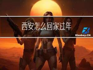 西安怎么回家过年