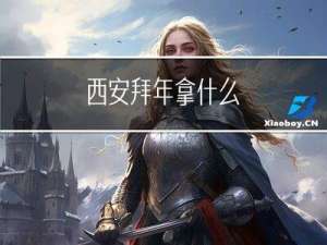 西安拜年拿什么