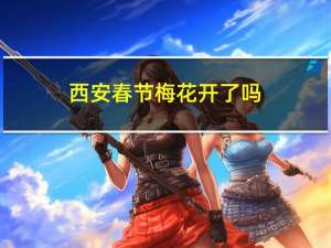 西安春节梅花开了吗