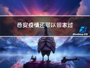 西安疫情还可以回家过年吗