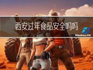 西安过年食品安全吗吗