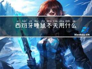 西班牙睡鼠冬天用什么