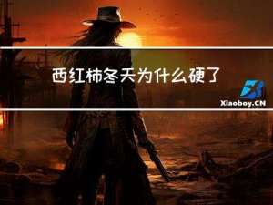 西红柿冬天为什么硬了