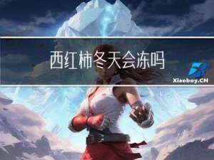 西红柿冬天会冻吗