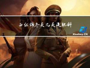 西红柿冬天几天浇肥料最好