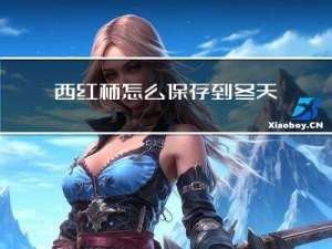 西红柿怎么保存到冬天