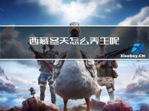 西藏冬天怎么养生呢
