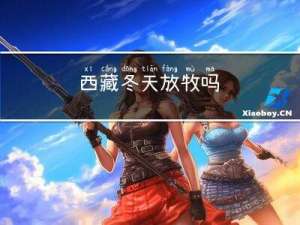西藏冬天放牧吗