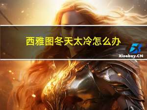 西雅图冬天太冷怎么办