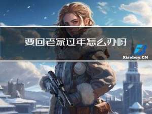 要回老家过年怎么办呀