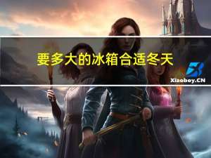 要多大的冰箱合适冬天