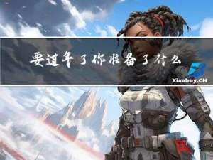 要过年了你准备了什么作文