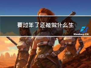 要过年了还能做什么生意