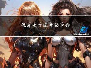 观察关于过年的事物