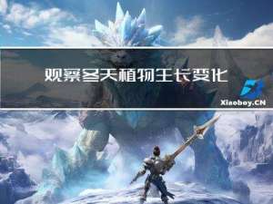 观察冬天植物生长变化
