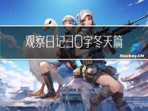 观察日记30字冬天篇