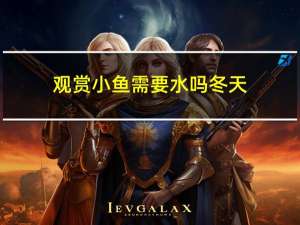 观赏小鱼需要水吗冬天