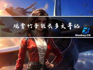 观赏竹子能长多大年纪