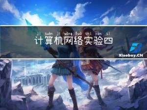 计算机网络 实验四