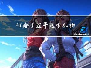订婚了过年送啥礼物