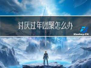 讨厌过年团聚怎么办