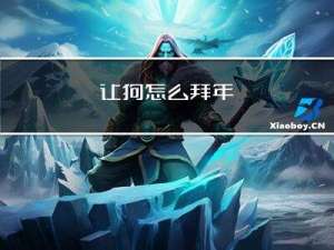 让狗怎么拜年