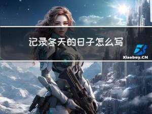记录冬天的日子怎么写