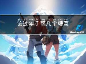该过年了整几个硬菜