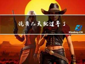 说有几天就过年了