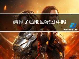 请假了还能回家过年吗老师