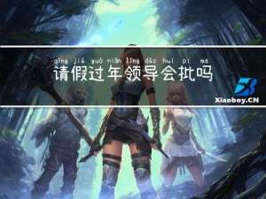 请假过年领导会批吗